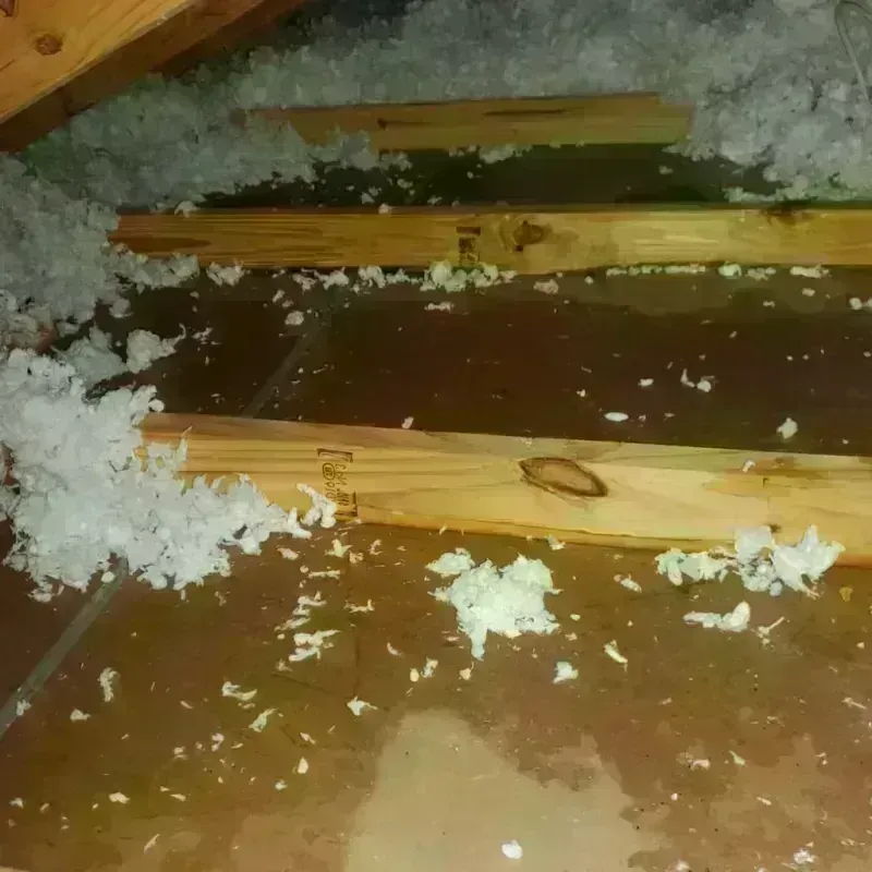 Attic Water Damage in Lisbon, OH