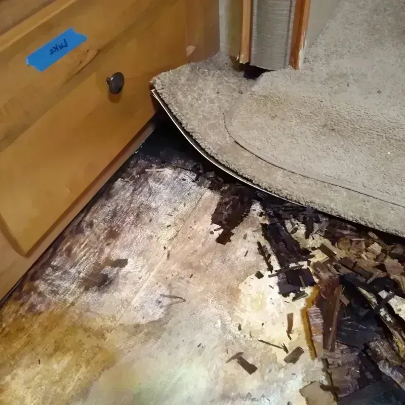 Wood Floor Water Damage in Lisbon, OH